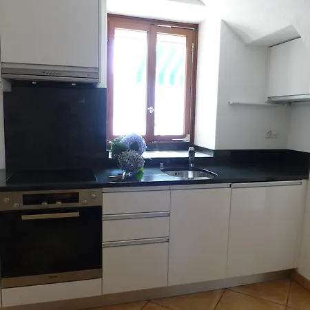 Casa Chatelain 아파트 론코 소프라 아스코나